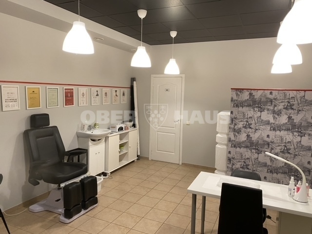 Parduodamos administracinės, gamybinės, kitos paskirties, maitinimo, sandėliavimo patalpos Žalgirio g., Druskininkų m., Druskininkų sav., 741.1 m2 ploto 22