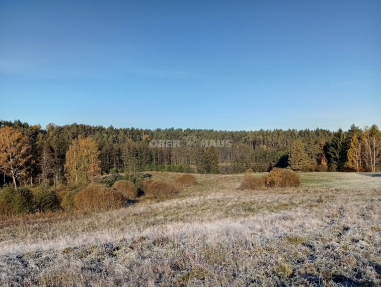 Parduodamas namas Trukiškio g., Gailiūnų k., Druskininkų sav., 139.06 m2 ploto, 1 aukštai 19