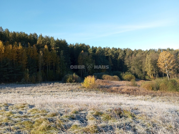 Parduodamas namas Trukiškio g., Gailiūnų k., Druskininkų sav., 139.06 m2 ploto, 1 aukštai 20