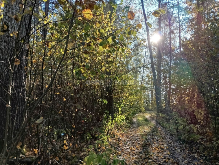 Parduodamas namas Trukiškio g., Gailiūnų k., Druskininkų sav., 139.06 m2 ploto, 1 aukštai 16