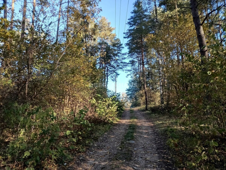 Parduodamas namas Trukiškio g., Gailiūnų k., Druskininkų sav., 139.06 m2 ploto, 1 aukštai 17