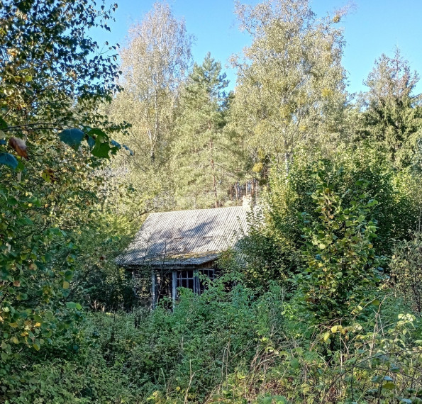 Parduodamas namas Trukiškio g., Gailiūnų k., Druskininkų sav., 139.06 m2 ploto, 1 aukštai 9