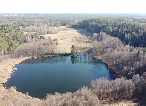 Parduodamas namas Trukiškio g., Gailiūnų k., Druskininkų sav., 139.06 m2 ploto, 1 aukštai