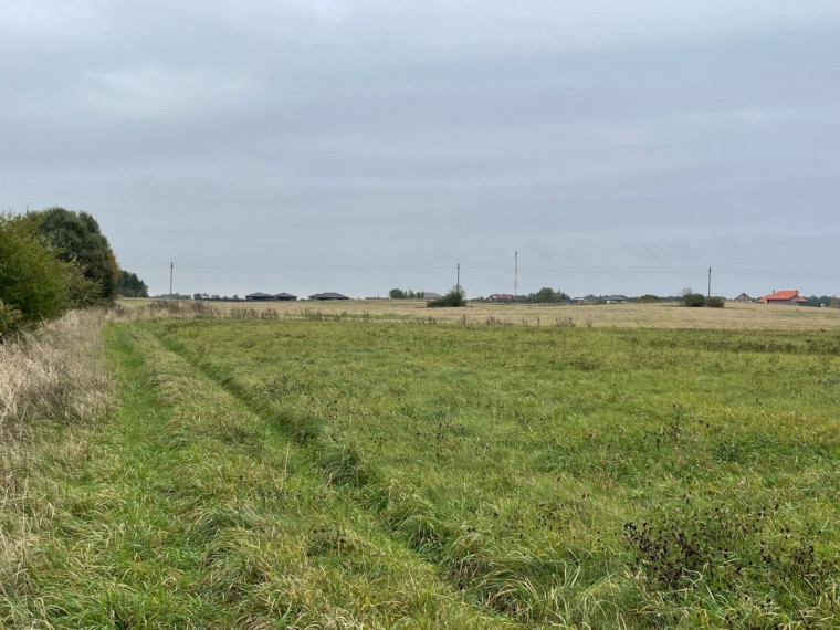 Parduodamas  sklypas Girkalių k., Klaipėdos r. sav., 39 a ploto 4
