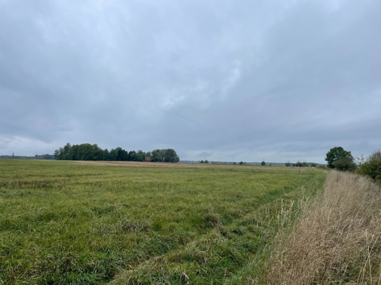 Parduodamas  sklypas Girkalių k., Klaipėdos r. sav., 39 a ploto 6