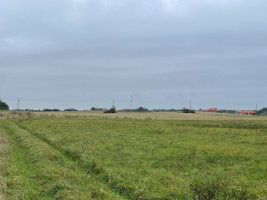 Parduodamas  sklypas Girkalių k., Klaipėdos r. sav., 39 a ploto 2