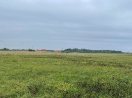 Parduodamas  sklypas Girkalių k., Klaipėdos r. sav., 39 a ploto 3