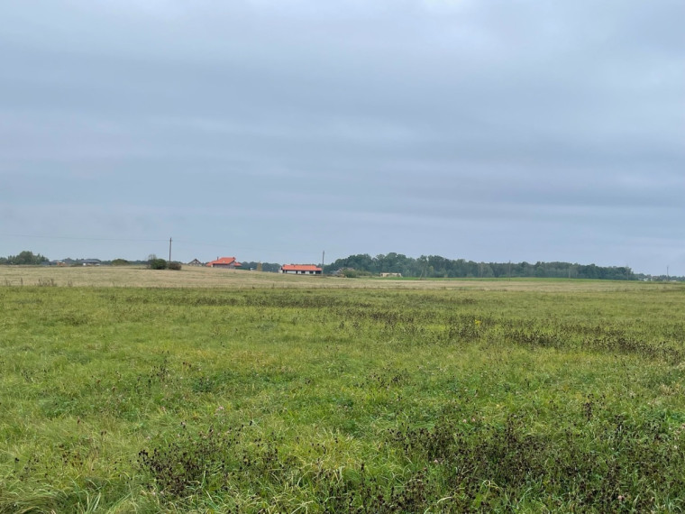 Parduodamas sklypas Girkalių k., Klaipėdos r. sav., 39 a ploto 3