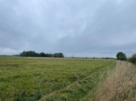 Parduodamas  sklypas Girkalių k., Klaipėdos r. sav., 39 a ploto 6