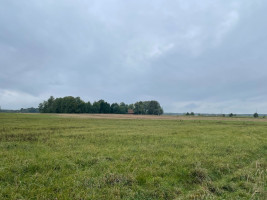 Parduodamas  sklypas Girkalių k., Klaipėdos r. sav., 39 a ploto 8