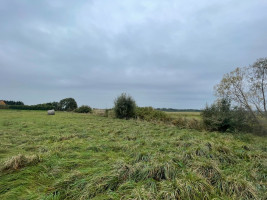 Parduodamas  sklypas Girkalių k., Klaipėdos r. sav., 39 a ploto 9