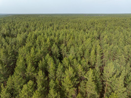 Parduodamas  sklypas Vinciūniškių Sodų 8-oji g., Antakalnis, Vilniaus m., Vilniaus m. sav., 7.18 a ploto 10