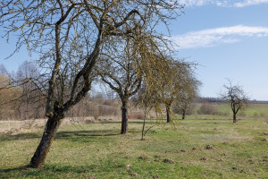 Parduodamas namas Kubilių k., Kaišiadorių r. sav., 64 m2 ploto, 1 aukštai 22