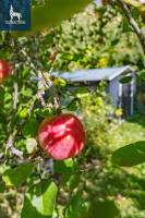 Parduodamas namas VIlnojos 7-ojji , Brinkiškių k., Vilniaus r. sav., 32.09 m2 ploto, 2 aukštai 17