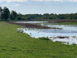 Parduodamas  sklypas Salų k., Širvintų r. sav., 1490.81 a ploto 9