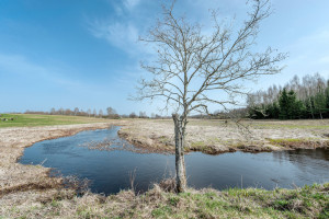 Parduodamas  sklypas Salų k., Širvintų r. sav., 1490.81 a ploto 11