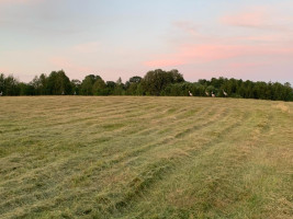 Parduodamas  sklypas Salų k., Širvintų r. sav., 1490.81 a ploto 23