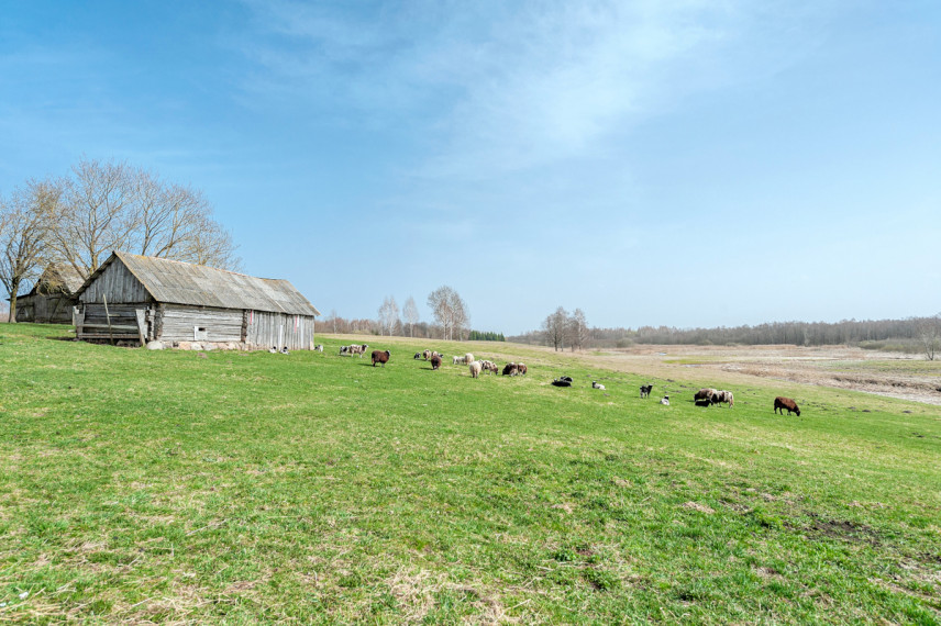 Parduodamas  sklypas Salų k., Širvintų r. sav., 1490.81 a ploto 25