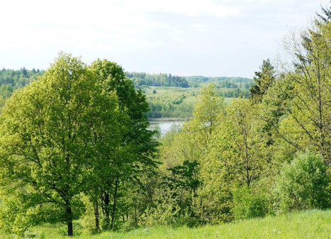 Parduodamas sklypas Kirkučių k., Švenčionių r. sav., 387.00 a ploto