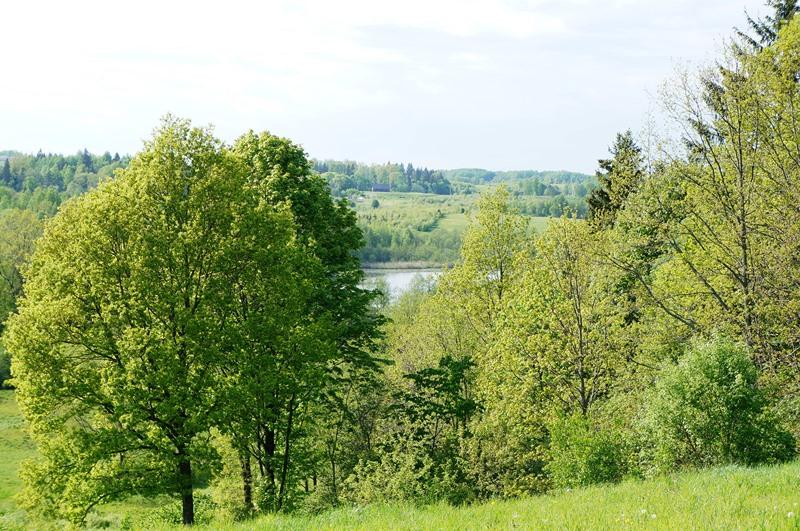 Parduodamas sklypas Kirkučių k., Švenčionių r. sav., 387.00 a ploto 1