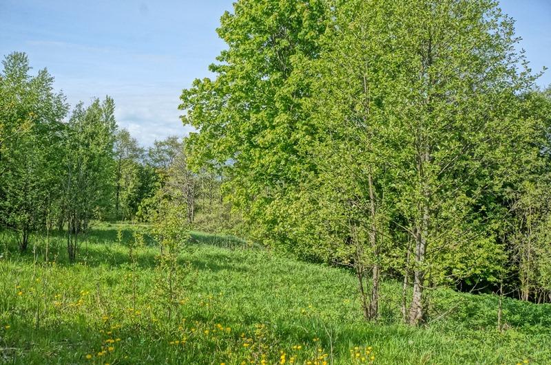 Parduodamas sklypas Kirkučių k., Švenčionių r. sav., 387.00 a ploto 3