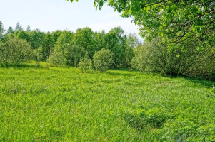 Parduodamas sklypas Kirkučių k., Švenčionių r. sav., 387.00 a ploto 5