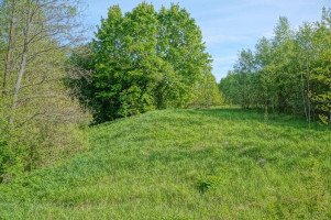 Parduodamas sklypas Kirkučių k., Švenčionių r. sav., 387.00 a ploto 6