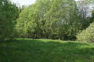 Parduodamas sklypas Kirkučių k., Švenčionių r. sav., 387.00 a ploto 7