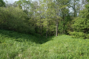 Parduodamas sklypas Kirkučių k., Švenčionių r. sav., 387.00 a ploto 8