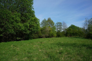 Parduodamas sklypas Kirkučių k., Švenčionių r. sav., 387.00 a ploto 9