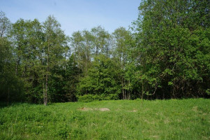 Parduodamas sklypas Kirkučių k., Švenčionių r. sav., 387.00 a ploto 10