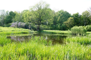 Parduodamas sklypas Kirkučių k., Švenčionių r. sav., 387.00 a ploto 12