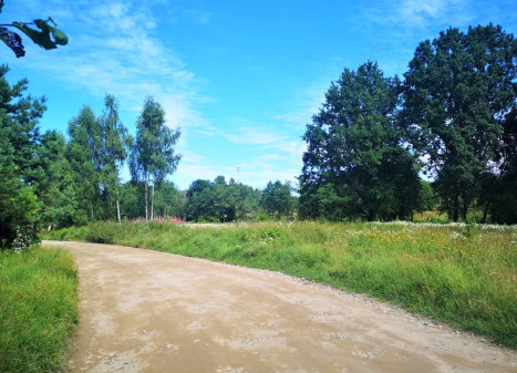 Parduodamas namų valdos paskirties sklypas Antežerių k., Vilniaus r. sav., 23.03 a ploto