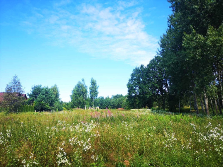 Parduodamas namų valdos paskirties sklypas Antežerių k., Vilniaus r. sav., 23.03 a ploto 2