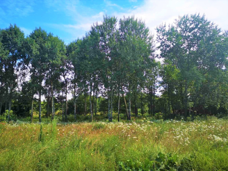 Parduodamas namų valdos paskirties sklypas Antežerių k., Vilniaus r. sav., 23.03 a ploto 5