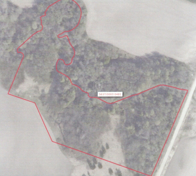 Parduodamas sklypas Genčų k., Kretingos r. sav., 203 a ploto 1
