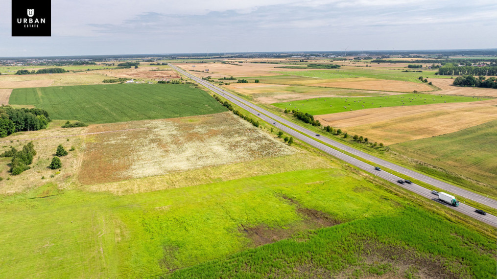 Parduodamas arba nuomojamas sklypas Anaičių g., Palangoje, 74.751 a ploto 3