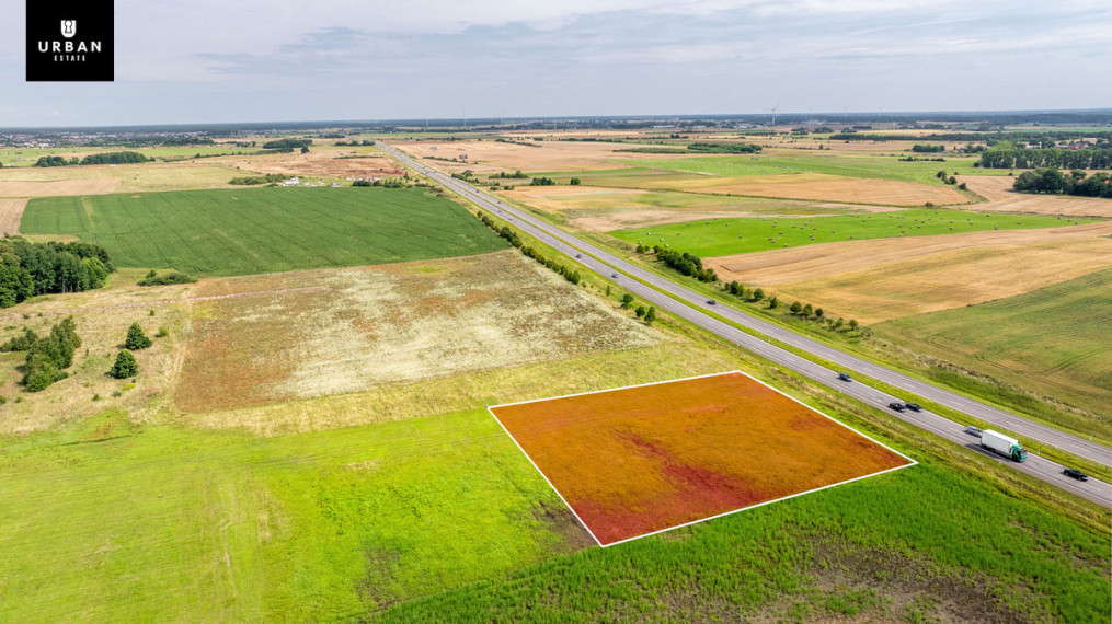 Parduodamas arba nuomojamas sklypas Anaičių g., Palangoje, 74.751 a ploto 4