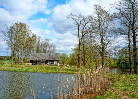 Parduodamas namas Didžiasalio k., Ignalinos r. sav., 94.01 m² ploto 3 kambariai