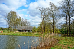 Parduodamas namas Didžiasalio k., Ignalinos r. sav., 94.01 m² ploto 3 kambariai 1