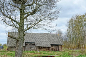 Parduodamas namas Didžiasalio k., Ignalinos r. sav., 94.01 m² ploto 3 kambariai 22