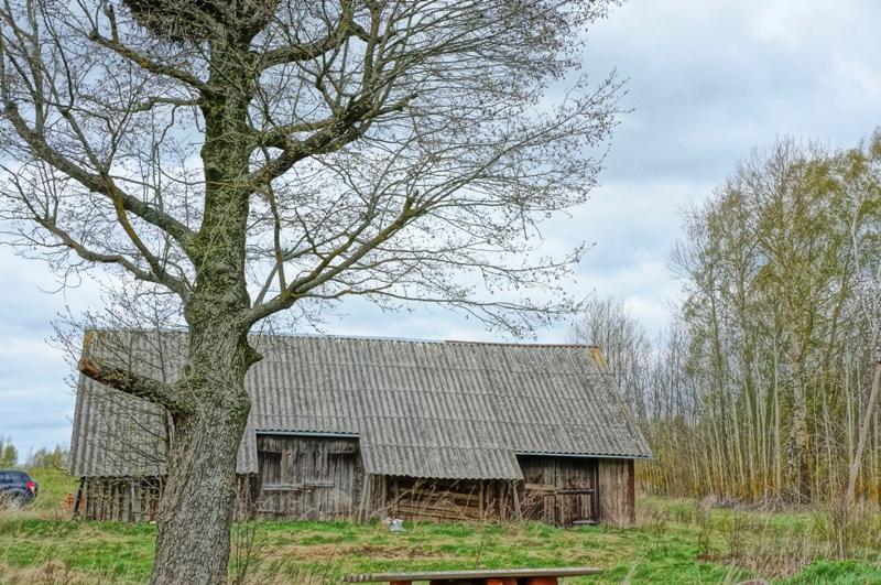 Parduodamas namas Didžiasalio k., Ignalinos r. sav., 94.01 m² ploto 3 kambariai 22