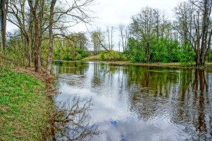 Parduodamas namas Didžiasalio k., Ignalinos r. sav., 94.01 m² ploto 3 kambariai 6