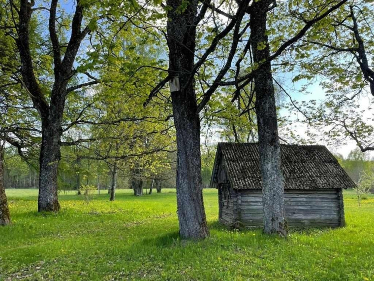 Parduodamas namas Tervydžių k., Rokiškio r. sav., 77 m2 ploto, 1 aukštai 16