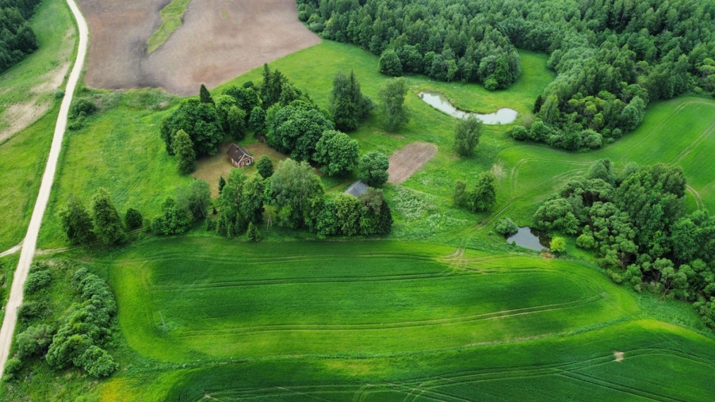 Parduodamas namas Tervydžių k., Rokiškio r. sav., 77 m2 ploto, 1 aukštai 28