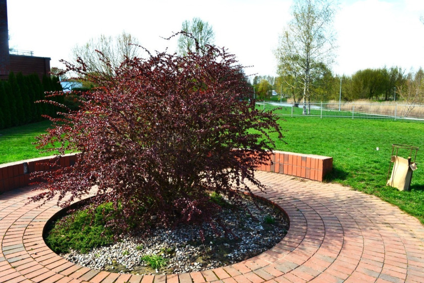 Parduodamas namas Šaltinio g., Mokolai, Marijampolės m., Marijampolės sav., 48.02 m2 ploto, 1 aukštai 6