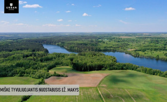 Parduodamas 2,35 ha sklypas prie ež. Makio su 46 m. pakrante 12