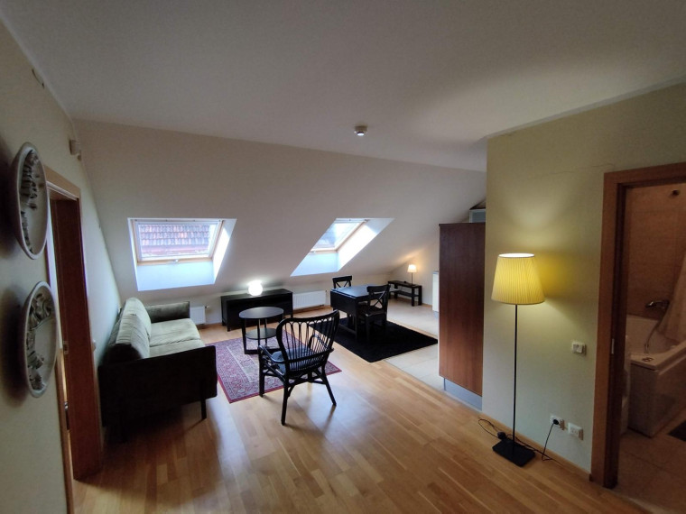 Nuomojamas butas Mėsinių g., Senamiestis, Vilniaus m., Vilniaus m. sav., 41.00 m² ploto 2 kambariai 1