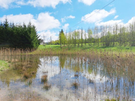 Parduodamas namas Dusetų vs., Zarasų r. sav., 105.90 m² ploto 4 kambariai 15