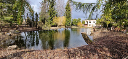 Parduodamas namų valdos paskirties sklypas Kalnelio g., Kairių mstl., Šiaulių r. sav., 8 a ploto 5